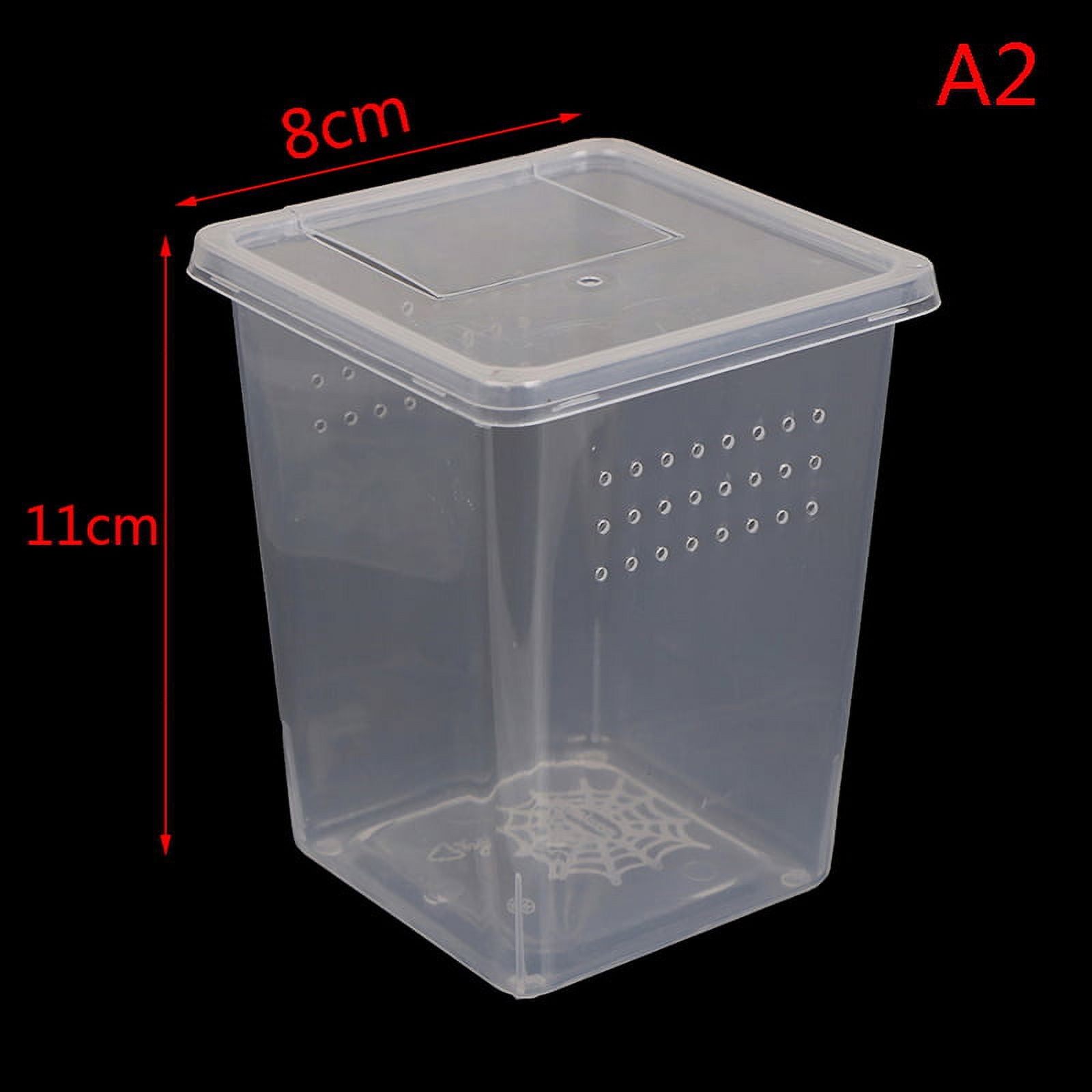 Plastic Insect Spider Habitat Feeding Box Case Container Tank Transport ...