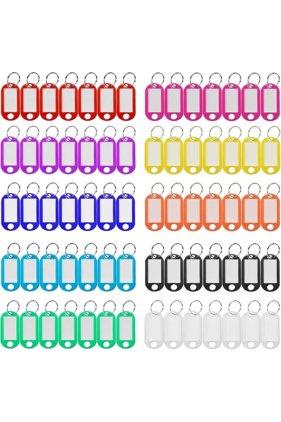 Plastic Key Tags with Labels and Rings - 220 Pack Key Labels with Label Window, Key Chain ID Tags, Key Identifiers for Name and Luggage, 10 Assorted Colors