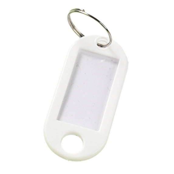 Plastic Key Tags with Split Ring Label Window, Key Tags Identifiers,Name Tags and Labels, Adapt to USB Drive, Key Chains with Label Tags, Pets Key Id Tags, Small Luggage Tags, 1 Pcs, 1.85x0.78"