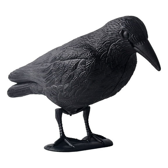 Plastic Magpie Decoys Realistic Full Body Life Size Shooting Pest Larsen Trap-Crow