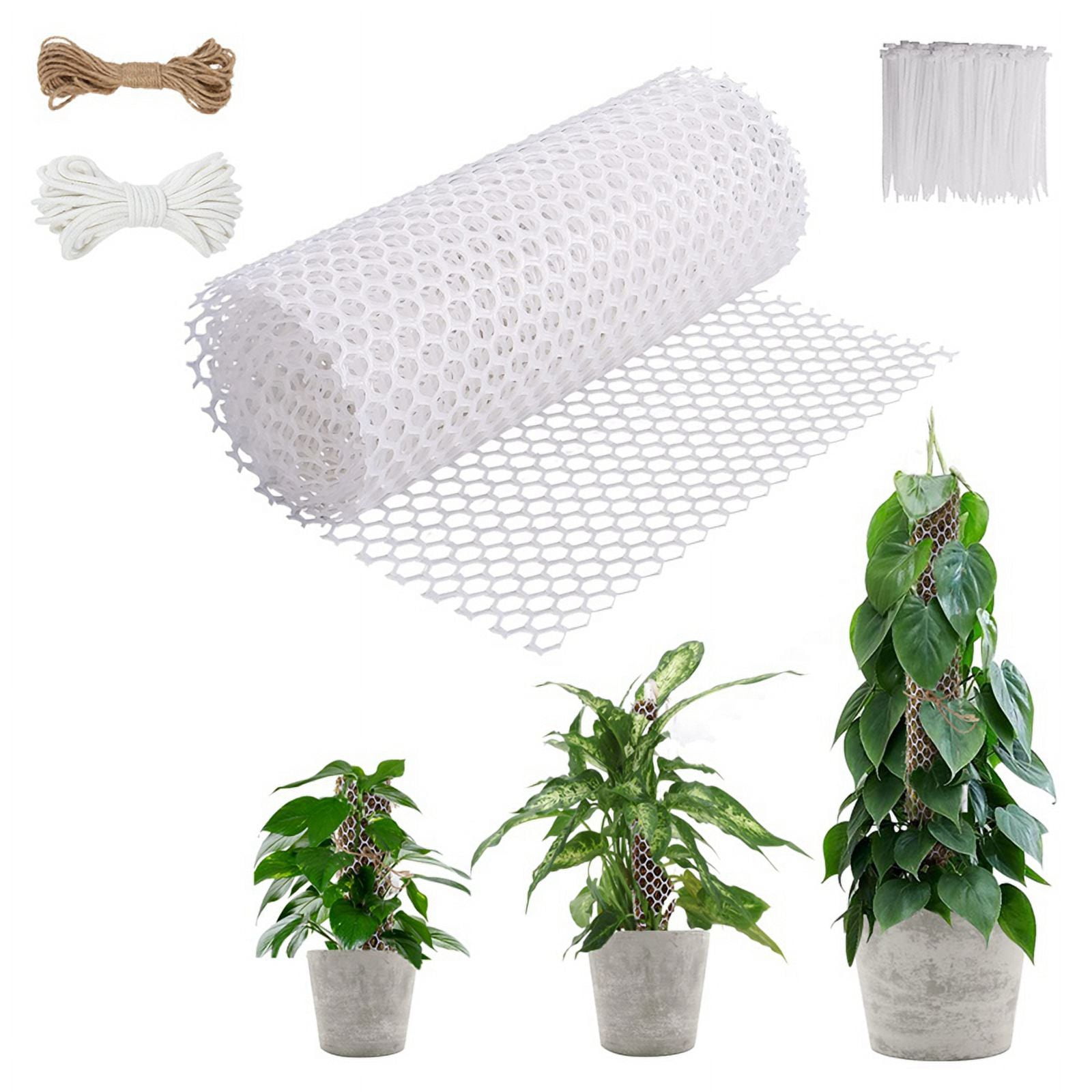 Plastic Moss Monstera Poles Mesh Kit, DIY Self-Watering Moss Stake for ...