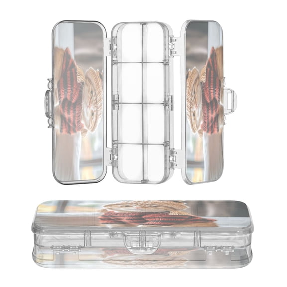 Plastic Pencil Box Large Capacity Pencil Boxes Clear Boxes with Snap-Tight Lid Stylish Office Supplies Storage Organizer Box Cute Orange Cat