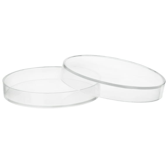 Plastic Petri Dish with Lid - 6" Diameter, 0.75" Depth - Molded in Polypropylene - Reusable, Autoclavable - Translucent - Eisco Labs