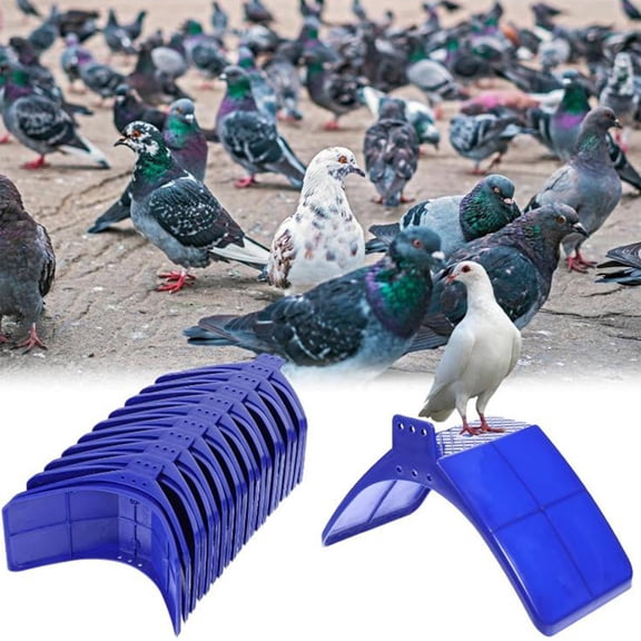 Plastic Pigeon Perch Stand Resting Platform for Bird Cage Parrot Aviary Accessories 10 Pack