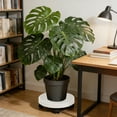 thumbnail image 1 of Plastic Plant Caddy with Wheels Thickened Rolling Flower Pot Tray Water Reservoir Raised Rim Movable Planter Base for Indoor Outdoor Floor Protection, 1 of 5