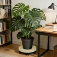 thumbnail image 1 of Plastic Plant Caddy with Wheels Thickened Rolling Flower Pot Tray Water Reservoir Raised Rim Movable Planter Base for Indoor Outdoor Floor Protection, 1 of 5