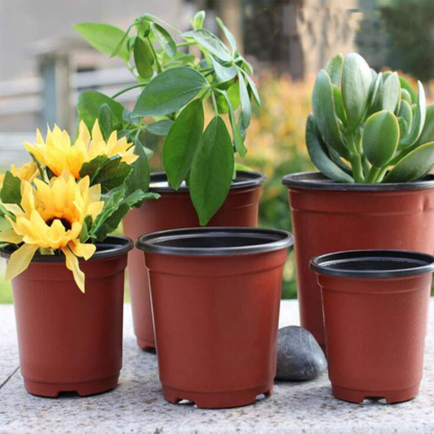 Plastic Plant Flower Pots Nursery Seedlings Pot Plant 100Pcs - Walmart.com