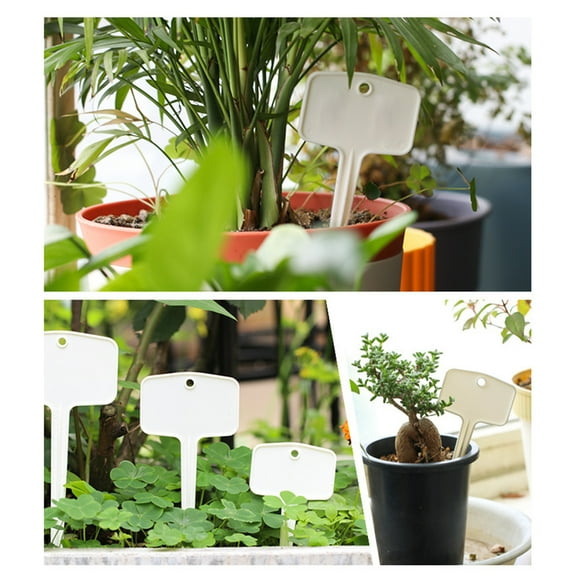 Plastic Plant Labels T-Shaped Garden Tags for Outdoor Plant Identification, Reusable White Plant Name Stakes for Pots, Herb Gardens, and Vegetable Plots (12 Pack)