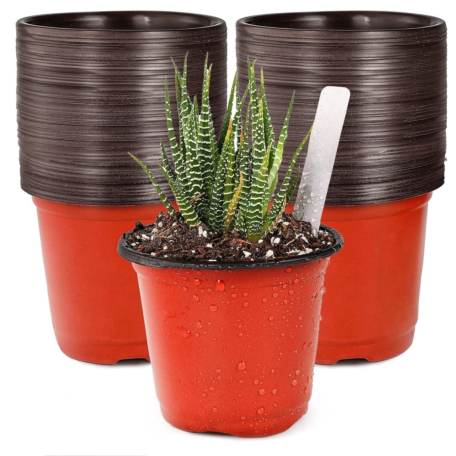 Plastic Plant Nursery Pots 100 Pcs Seed Starting Pots Flower Containers for Indoor Outdoor Plant,Seedlings Flower Plant Container for Succulent Seedling Cutting Transplanting,5 in,Red