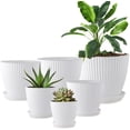 thumbnail image 1 of Plastic Plant Pots,Bexikou 6 Pack Indoor Nursery Pots with Drainage Holes, Flower Planter Pots for Indoor Outdoor, Garden Containers Sets for Vegetable Herbs Flowers, 1 of 8
