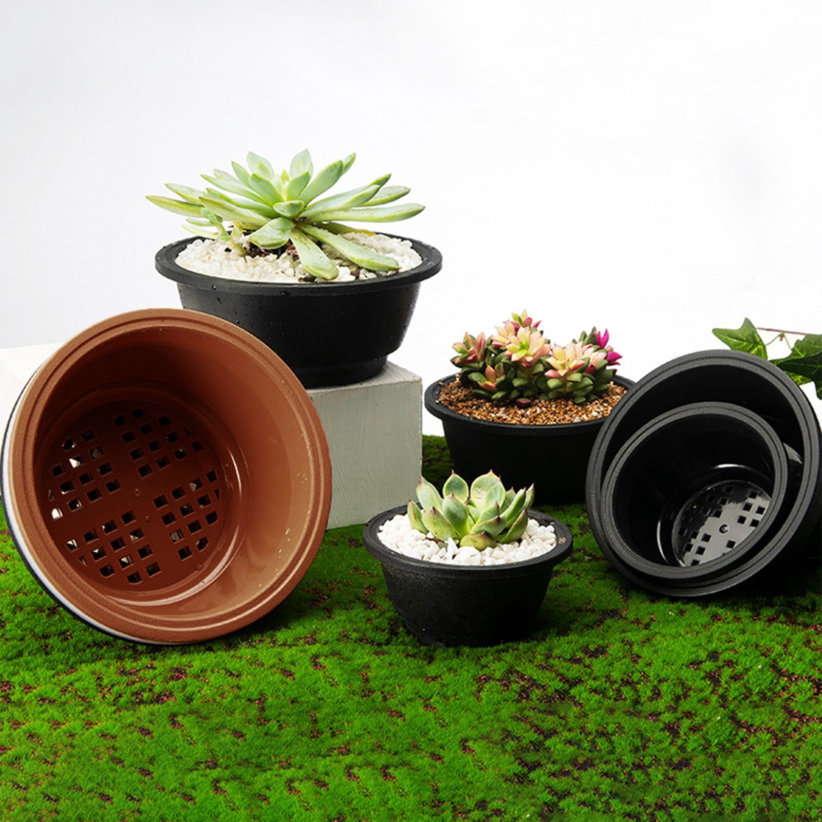 Plastic Plant Pots for Plants with Saucers, Indoor Set of 1 Plastic