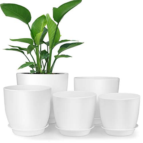 Plastic Plante 7/6/5.5/4.8/4.5 Inch Flower Pot Indoor Modern Decorative  Plastic Pots for Plants with Drainage Hole and Tray for All Plants,  Succulents, Flowers, and Cactus, White - Walmart.com