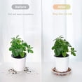 thumbnail image 1 of Plastic Plants Saucers 5 Pack - Self Watering Pot Trays for Indoor Outdoor Use, 10 12 Inch Round Drip Trays for Flower Pots, Planters with Drainage Hole Water Catcher for Gardening, 1 of 4