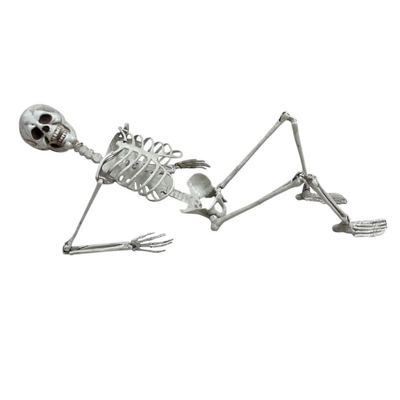Plastic Posable Skeleton Decoration with Movable Joints for Halloween Party Indoor and Outdoor Decor