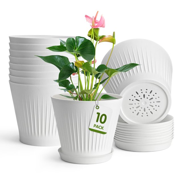 Plastic Pots for Plants, 10 Packs 6 inch Plant Flower Pots with