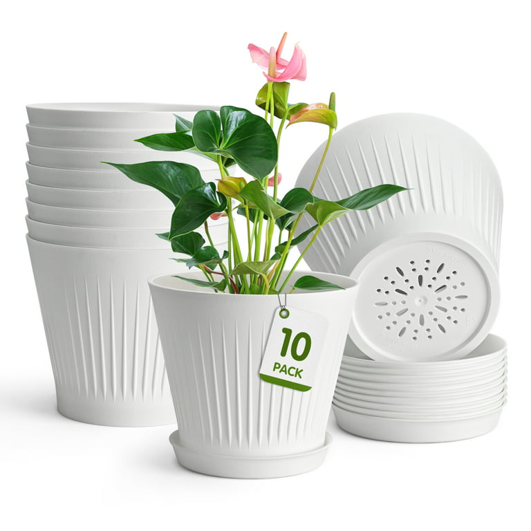 https://i5.walmartimages.com/seo/Plastic-Pots-Plants-10-Packs-6-inch-Plant-Flower-Multiple-Drainage-Holes-Trays-Indoor-Modern-Garden-Planter-All-Houseplants-Aloe-Succulents-Cactus-Wh_825139ad-d6b8-437a-be39-75087901fed0.5ee97943733cc35511d3fb467c40ccfc.jpeg?odnHeight=768&odnWidth=768&odnBg=FFFFFF