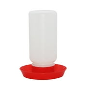 Plastic Poultry Fount Chicken Water Container Jar High-Quality Water Containers Durable Chick Waterer for Poultry Gift