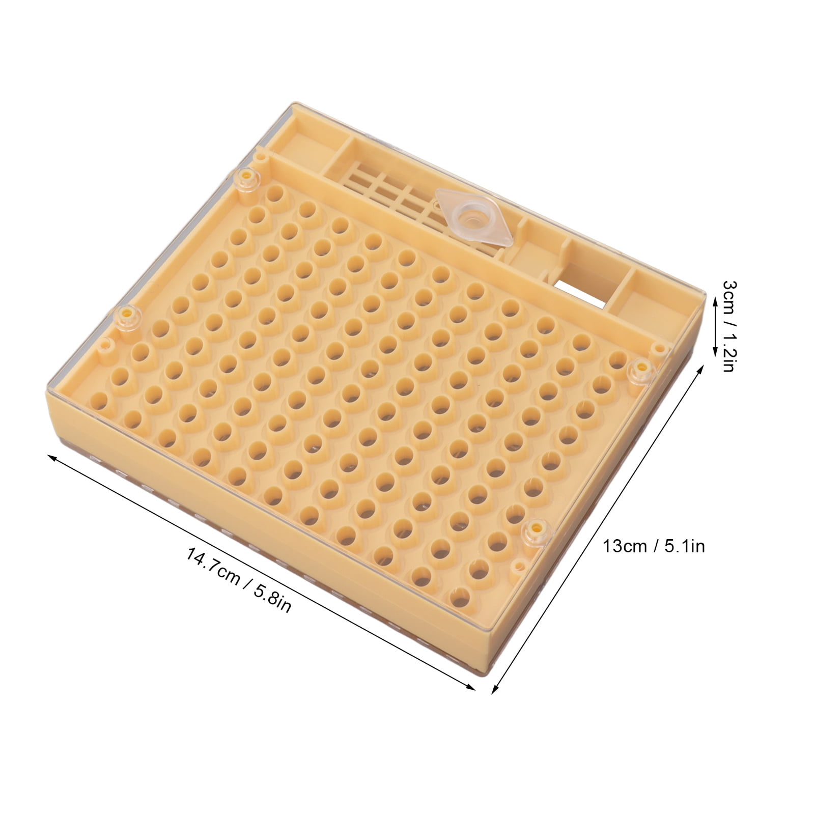 Plastic Queen Rearing Box, Easy Egg Laying Larvae Development ...