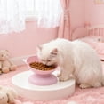 thumbnail image 1 of Plastic Raised Bowl Tilted 15 Degrees Elevated Cat Food and Water Bowls Set Anti Vomit Dog Kitten Food Dishes Pet for Cats and Small Dogs, 1 of 9