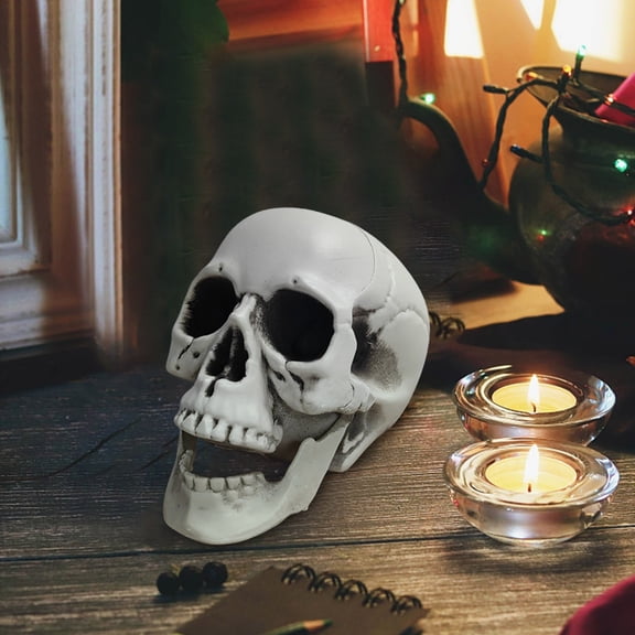 Plastic Realistic Human Skull Head Model, 3.15x4.72x3.94in Fake Skeleton Bone Halloween Prop, Spooky Decor for House, Party & Home Holiday Display