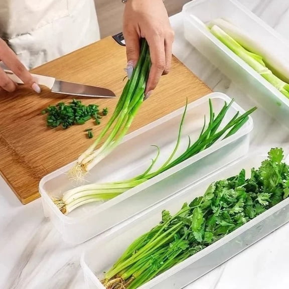 Plastic Refrigerator Storage Box with Lid, Sealed Food Container for Scallions Cilantro Eggs Noodles