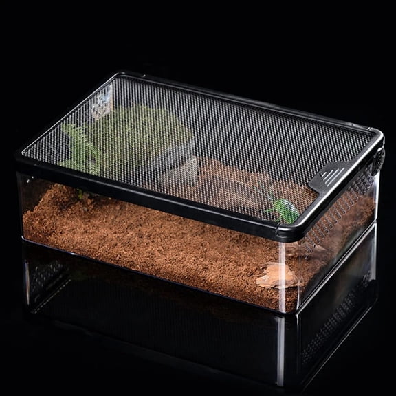 Plastic Reptile Terrarium Feeding Box for Small Reptiles and Bugs