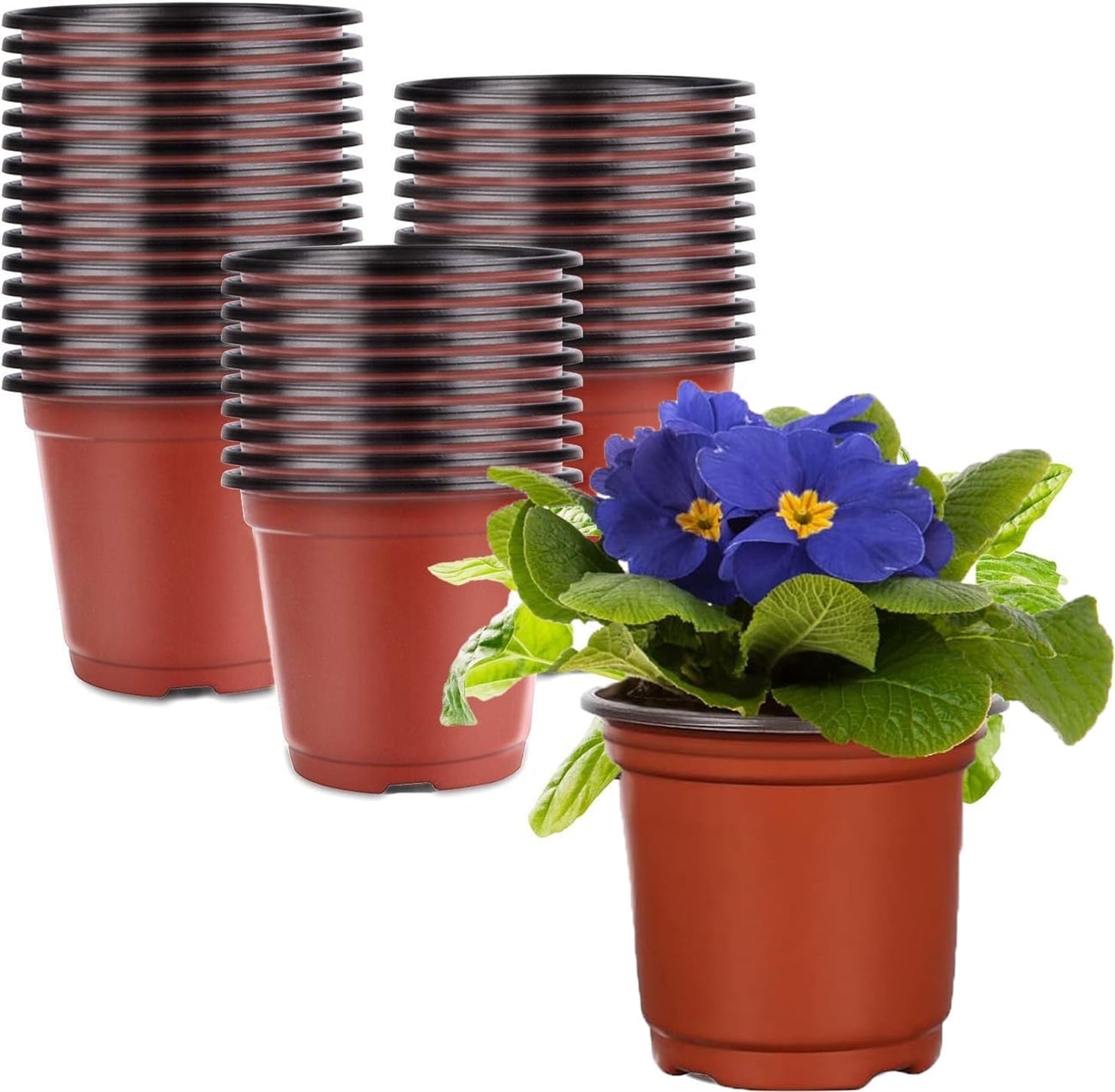 Plastic Seed Starting Planters,Bexikou 6in Plant Nursery Pots, Seed Germinating Plant Pots,Planter Seedling Pots,Flower Plant Container for Garden Seedling Cutting Transplanting (50 Pieces)