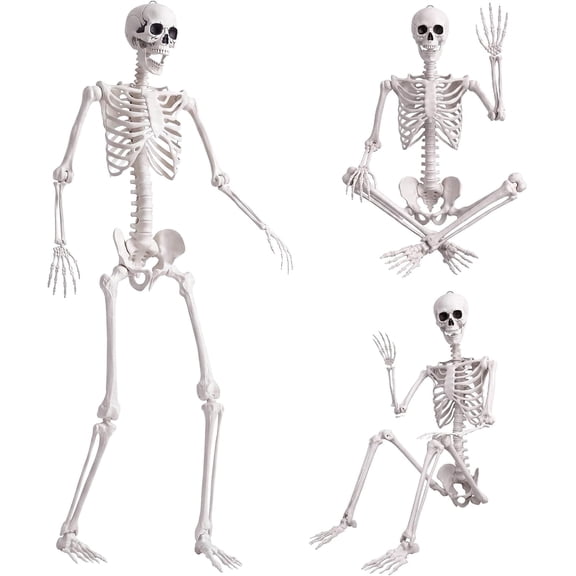 1PC Plastic Skeleton with Movable Joints for Halloween Garden Party Decoration (95 in)