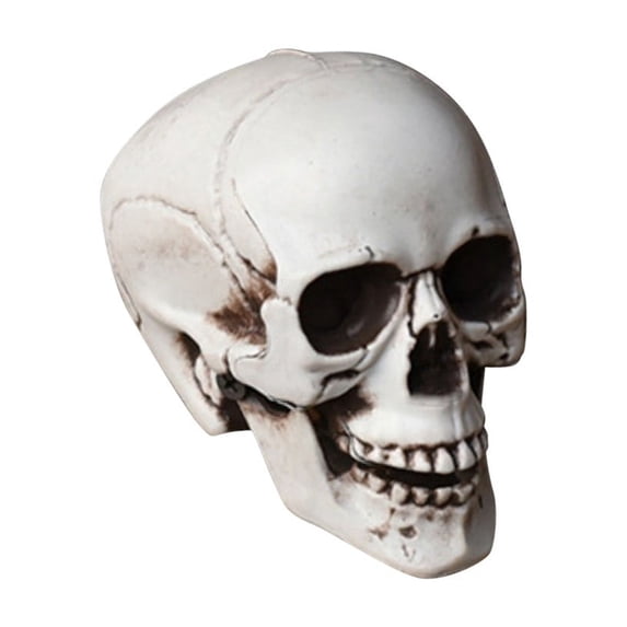 Plastic Skull Head Statue, Halloween Decor Figurine for Home Office Shelf, Gothic Skeleton Ornament, Tabletop Decoration