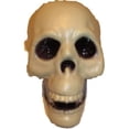 thumbnail image 1 of Plastic Skull, 1 of 4