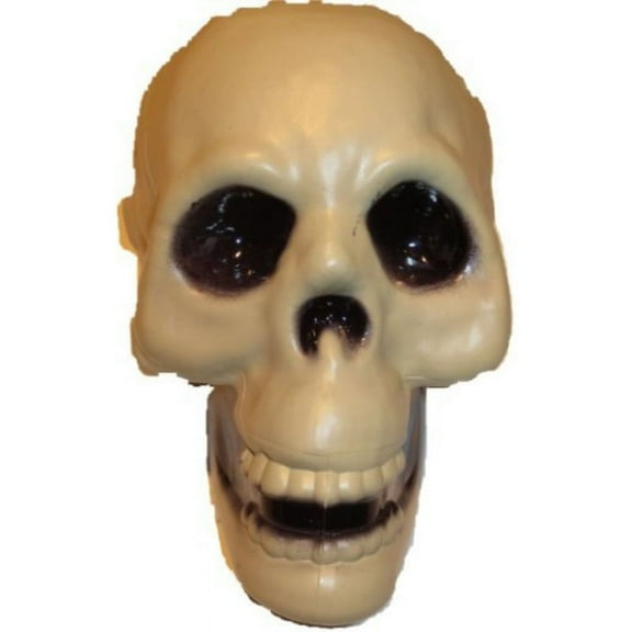 Plastic Skull