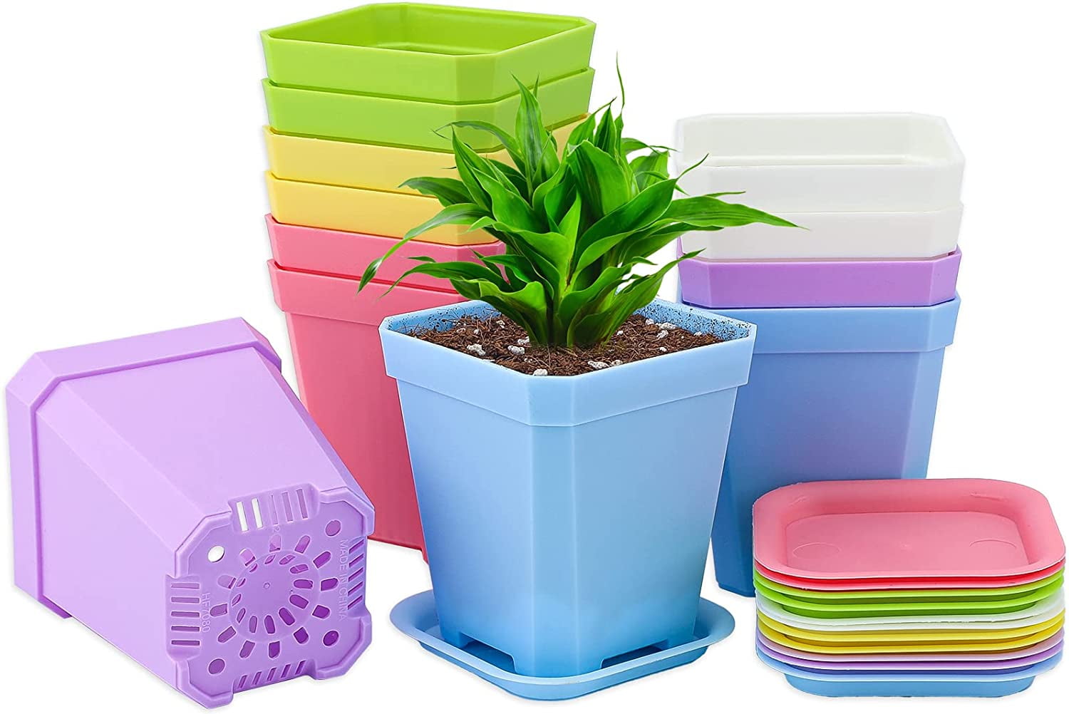 Plastic Square Plant Pots 7 cm 16 Pcs Succulent Planter Nursery Pots for  Flower Staring Seedling,Small Coloured Nursery Flower Pots for Home Office  ...