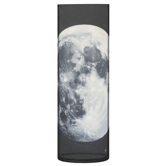 Plastic Vase 11.8 x 3.9 Inch Vase Transparent Non-Breakable Plastic Ornamental Culture Bottle Storage Jar Modern Family Wedding Decoration Beautiful Big Moon