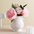 thumbnail image 1 of Plastic Vase - White Round Belly Decorative Vase for Dry Flowers & Pampas Grass, Suitable for Coffee Tables Dining Tables Office Desks Shelves, Minimalist Home Decoration Vase, 1pc, 1 of 6