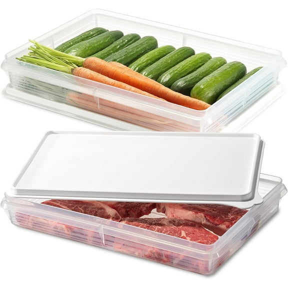 Plastic meat cold cuts and fish fruits and vegatables storage container set of 2