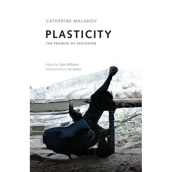 Plasticity: The Promise of Explosion, (Paperback)