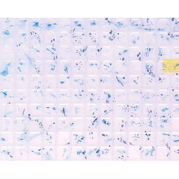 Plastruct Patterned Sheets, Square Tile, 3/16"�