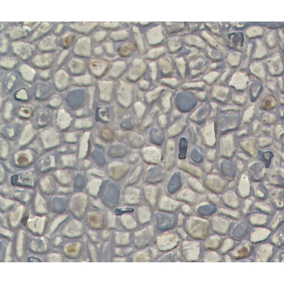 Plastruct PS-73 HO Random Stones 2 PLS91581 Plastic Building Supplies