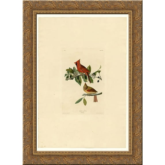 Plate 159 Cardinal Grosbeak 24x18 Gold Ornate Wood Framed Canvas Art by John James Audubon
