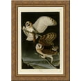 thumbnail image 1 of Plate 171 Barn Owl 24x18 Gold Ornate Wood Framed Canvas Art by John James Audubon, 1 of 2