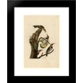 thumbnail image 1 of Plate 37. Golden-winged Woodpecker 20x24 Framed Art Print by John James Audubon, 1 of 2