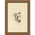 thumbnail image 1 of Plate 40. American Redstart 24x18 Gold Ornate Wood Framed Canvas Art by John James Audubon, 1 of 2