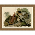 thumbnail image 1 of Plate 41. Ruffed Grouse 38x28 Large Gold Ornate Wood Framed Canvas Art by John James Audubon, 1 of 2