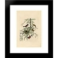 thumbnail image 1 of Plate 42. Orchard Oriole 20x24 Framed Art Print by John James Audubon, 1 of 2