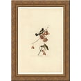 thumbnail image 1 of Plate 54. Rice Bird 24x18 Gold Ornate Wood Framed Canvas Art by John James Audubon, 1 of 2