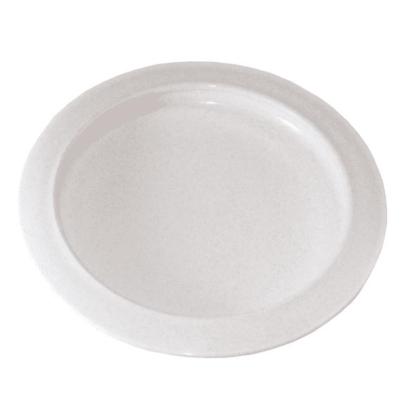 Rehabilitation Advantage Plate with Curved Inner Lip Dishwasher Safe 1 Pack 9 Inch Diameter