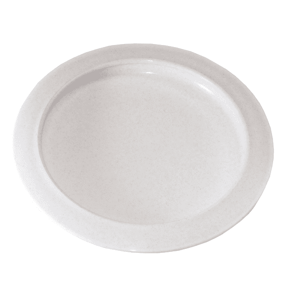 Rehabilitation Advantage Plate with Curved Inner Lip Dishwasher Safe 1 Pack 9 Inch Diameter