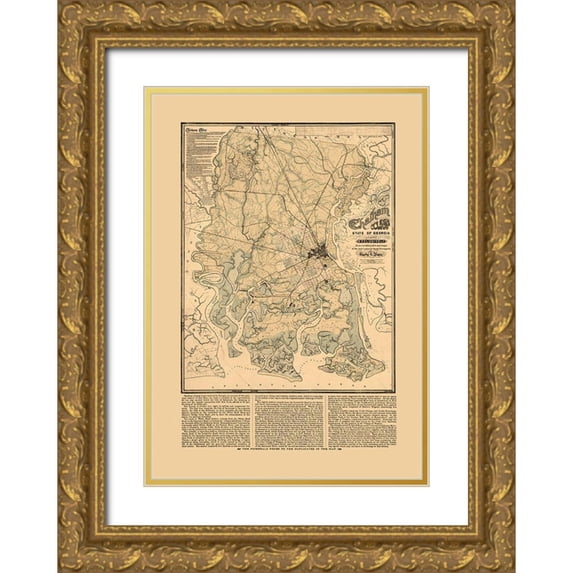 Platen 18x24 Gold Ornate Wood Framed with Double Matting Museum Art Print Titled - Chatham County Georgia - Platen 1875