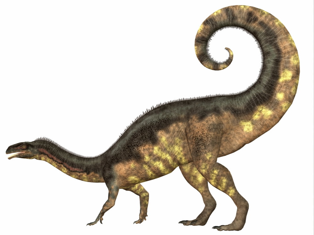 Plateosaurus dinosaur side view Canvas Art - Corey FordStocktrek Images (33 x 25)