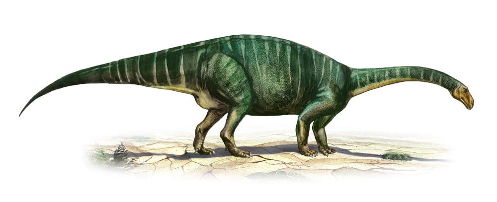 Plateosaurus engelhardti a prehistoric era dinosaur Canvas Art - Sergey KrasovskiyStocktrek Images (22 x 9)